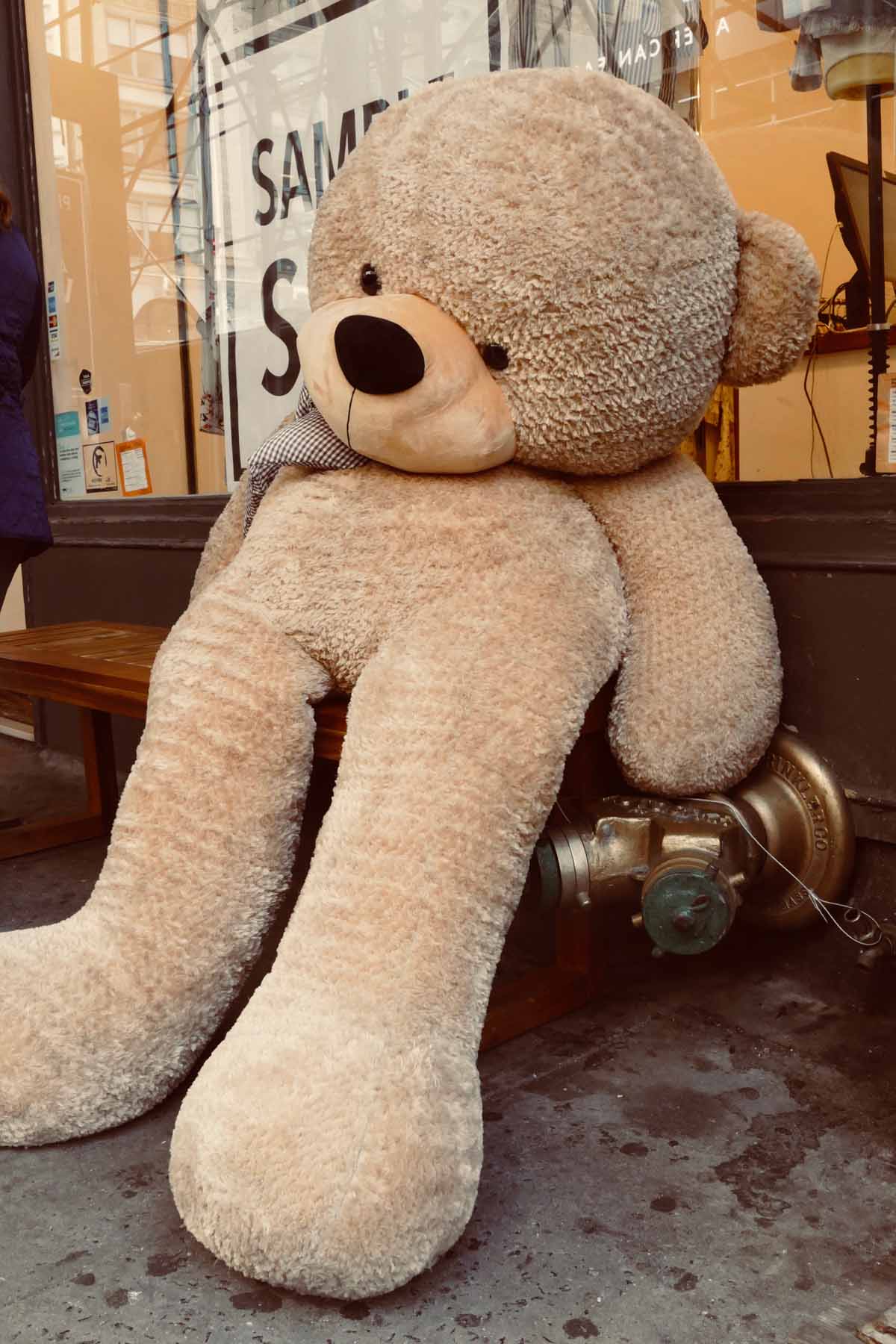 Teddy Bear