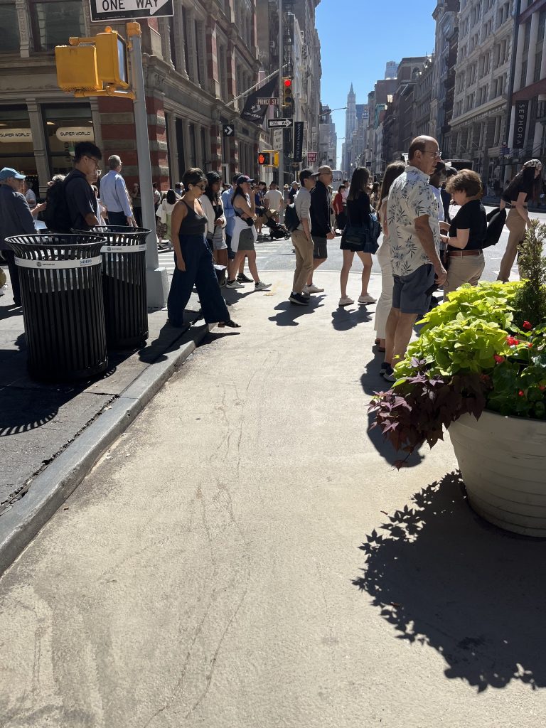 a Clean Curb with no trash bags